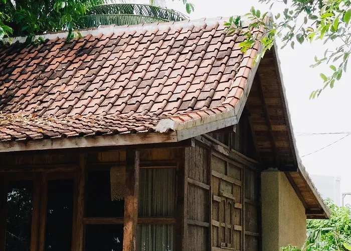 The Yellow Door Retreat 4* Polilit